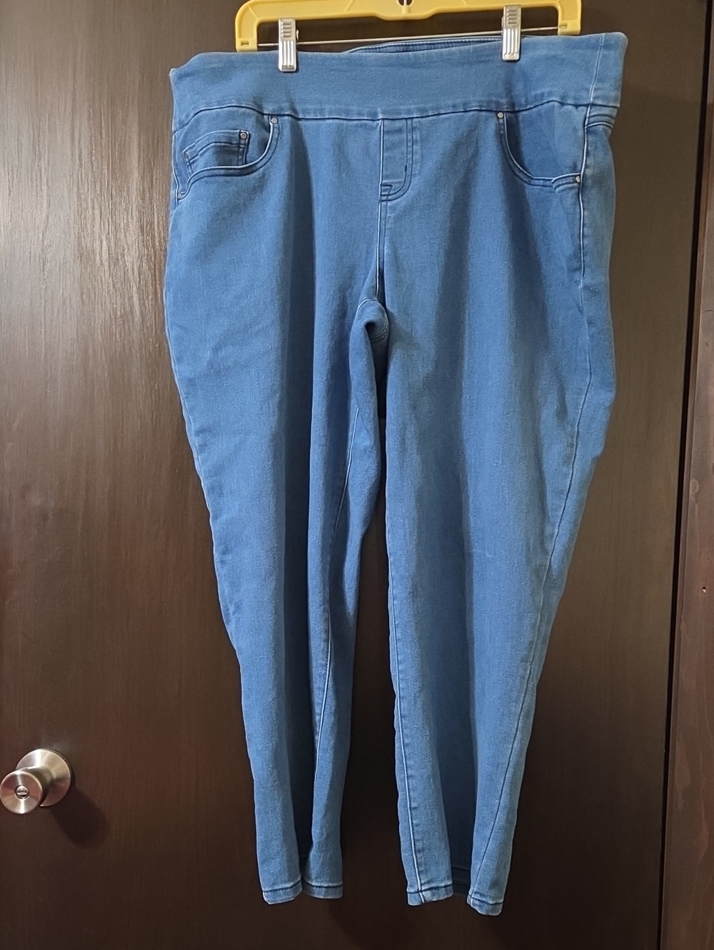 Time and Tru Petite 16-18 XL pants Blue